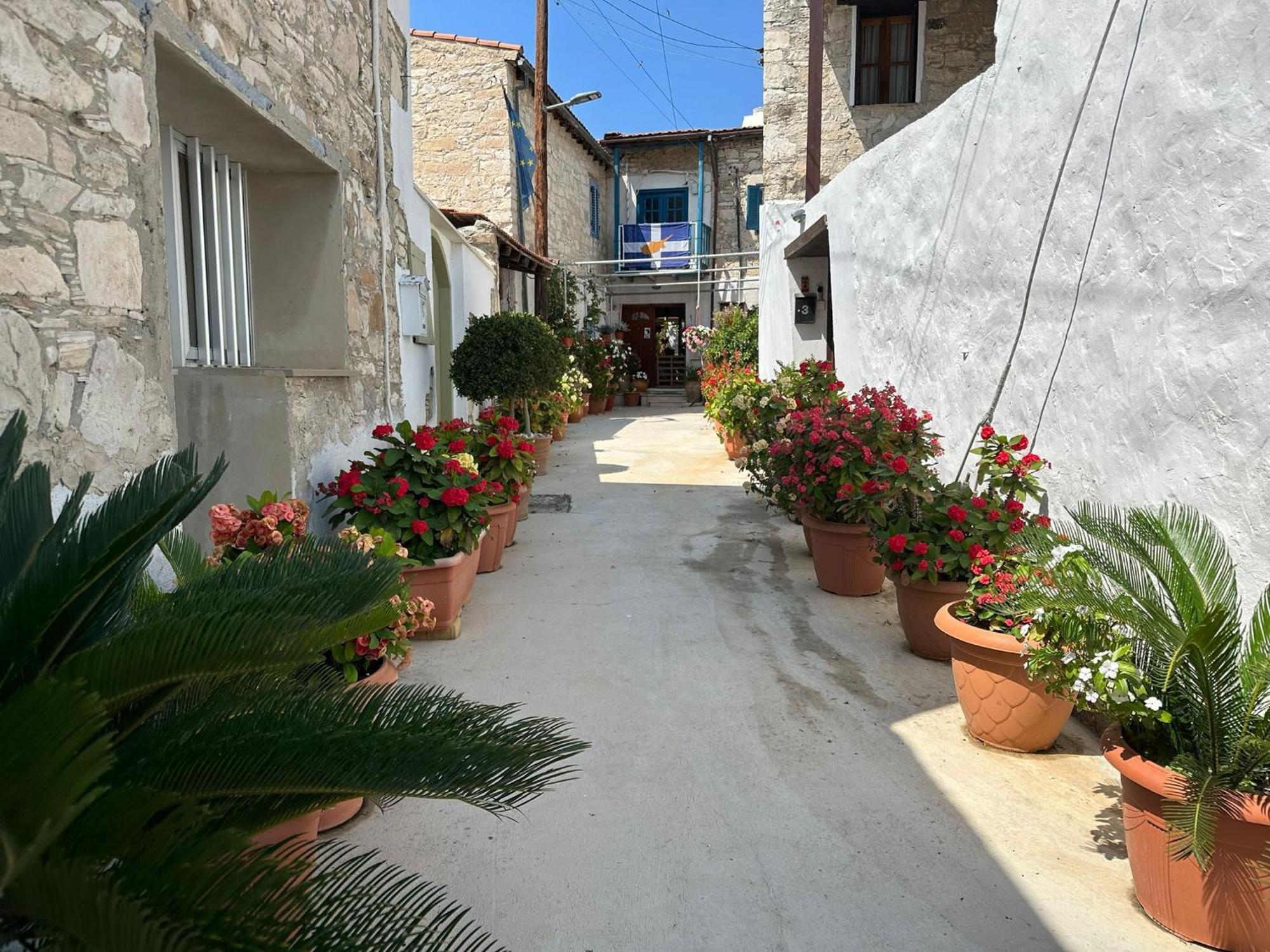 Endless Sunset Villa Pentakomo Exterior photo